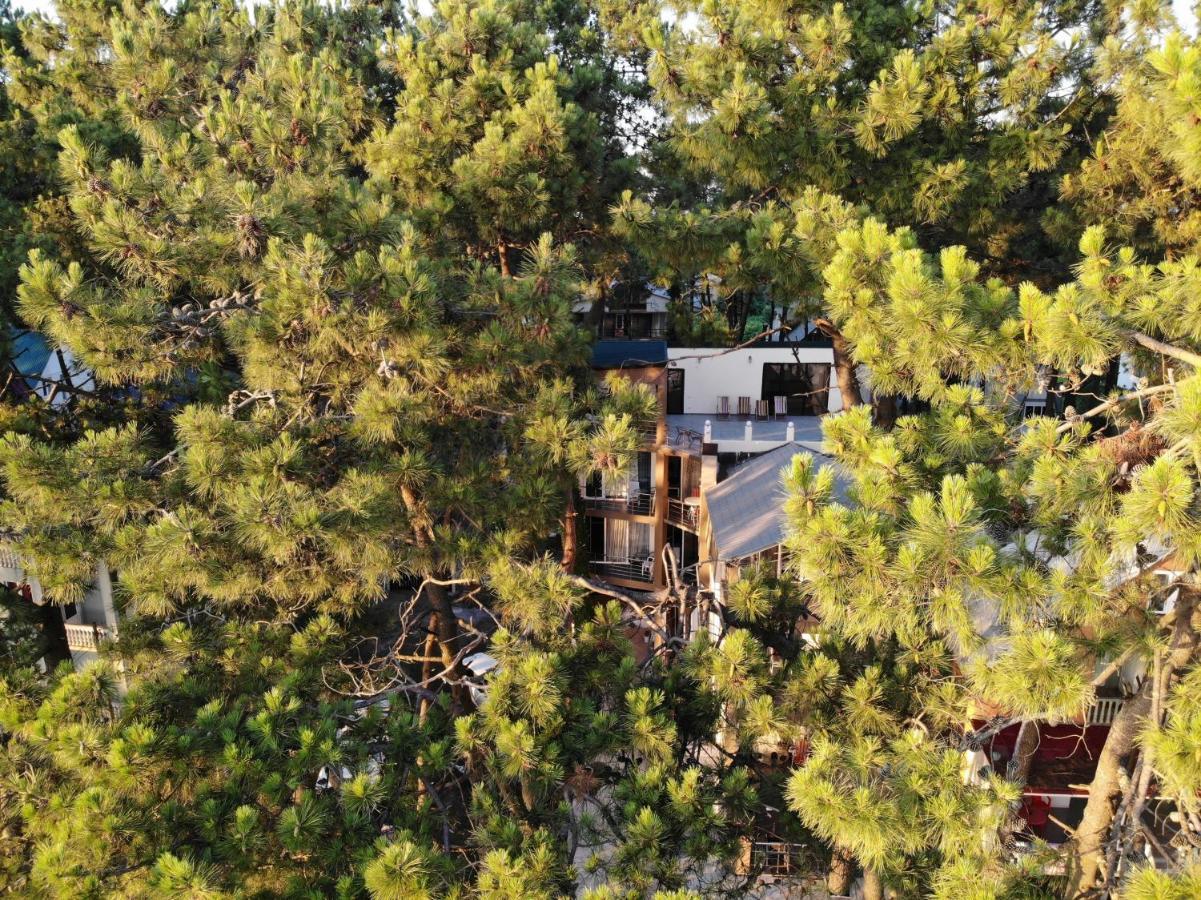 Mana-Mana Otel Grigoleti Dış mekan fotoğraf