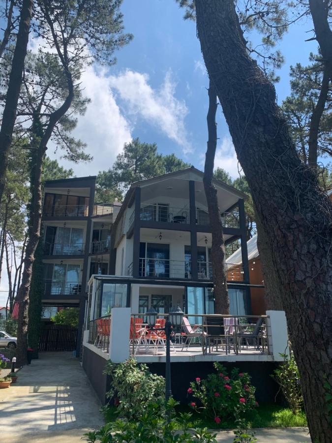 Mana-Mana Otel Grigoleti Dış mekan fotoğraf