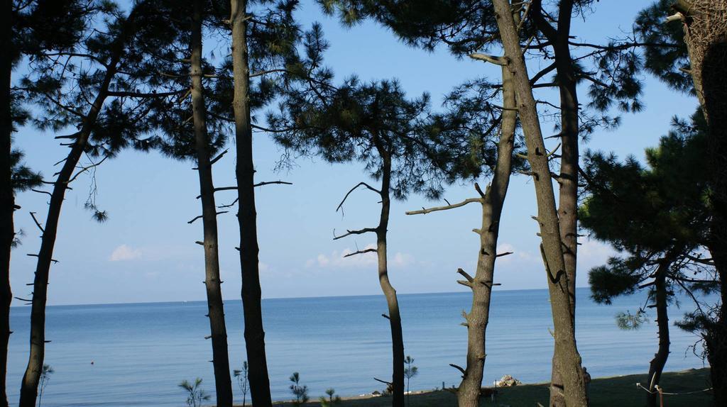 Mana-Mana Otel Grigoleti Oda fotoğraf
