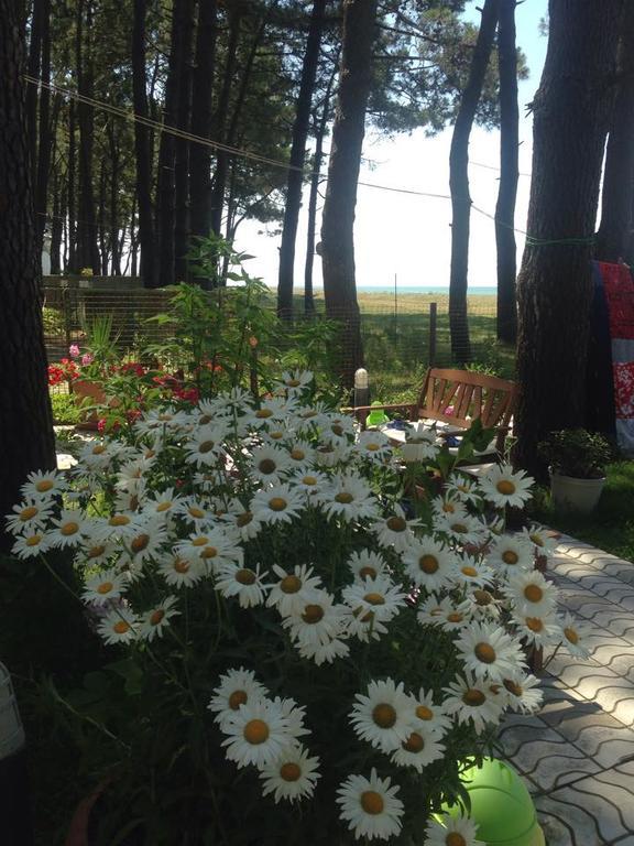 Mana-Mana Otel Grigoleti Dış mekan fotoğraf
